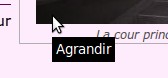 Agrandir