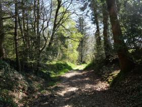 chemins de randonnées Kérézélec