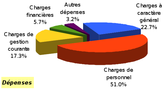 CA 2015 fonct dépenses